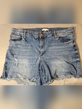 STS Blue Distressed Light Wash Denim Jean Shorts